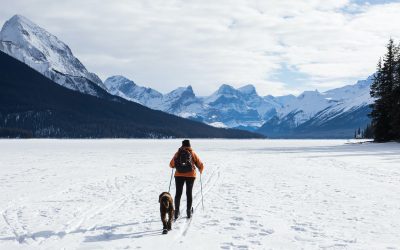 10 Consejos para organizar tu ruta en nieve